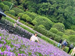 -龙头寺公园
