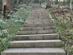 -灵顺寺