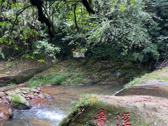 -碧峰峡风景区