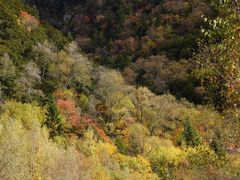 -叠溪松坪沟景区