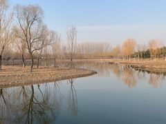 -东郊湿地公园