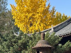 -龙华寺