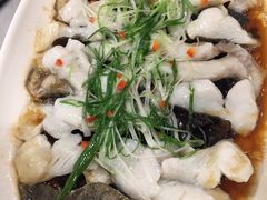 -大树餐厅(益田假日店)