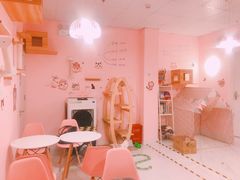 -三花喵·撸猫购宠·宠物生活馆(虹桥南丰城店)