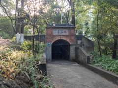 -蟹山公园
