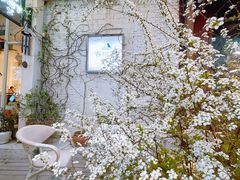 -春树下·树屋花房西餐厅(罍街AS1980店)