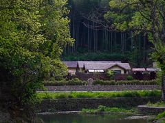 -五泄景区