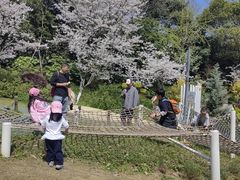 -杭州少年儿童公园