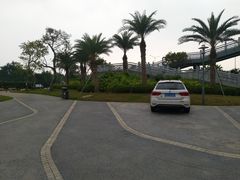 -宝安西湾红树林湿地公园