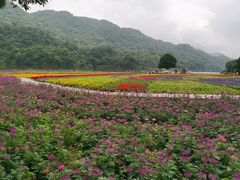 -广州市石门国家森林公园