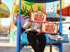 -朝阳公园游乐园