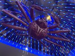 -蟹之国·精品蟹料理(极地店)