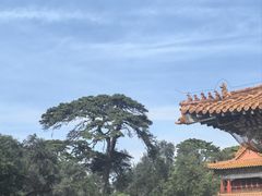 -沈阳市东陵公园