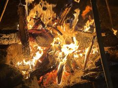 -盘龙城国家考古遗址公园