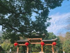 -杭州半山国家森林公园