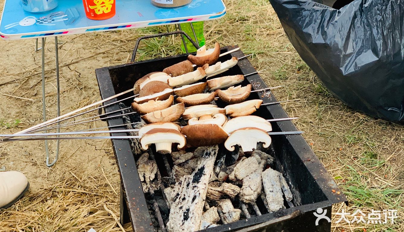 说着要烧烤，就和爸爸他们去山脚下