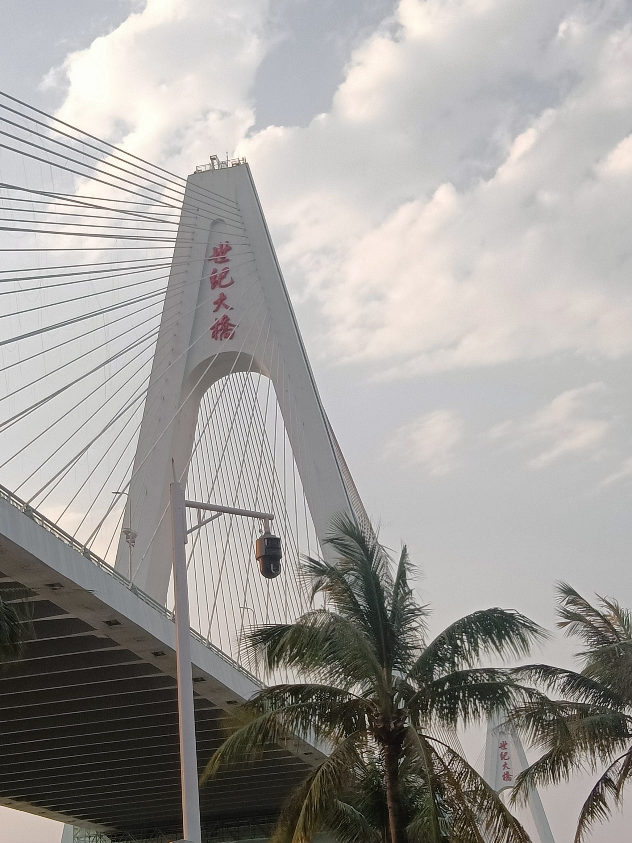 海口地标建筑世纪大桥