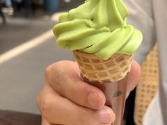-单家老院·院子里的青岛菜(沙子口店)