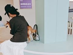 -怪兽屋·羊驼·猫咖·狗咖(俊华广场店)