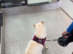 -宠物家(长阳店)
