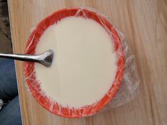 -老西关黄老太牛肉烧饼