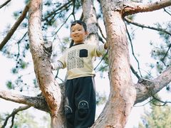 -太阳宫公园