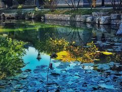 -三里河公园