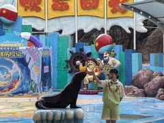 -海合安成都极地海洋公园