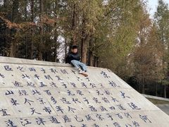-澹台湖公园