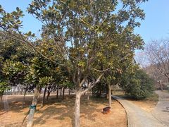 -云龙湖旅游景区