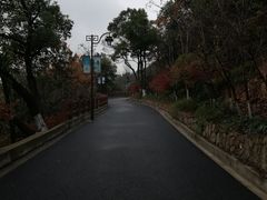 -杭州半山国家森林公园