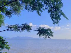 -深圳湾公园(南山区)