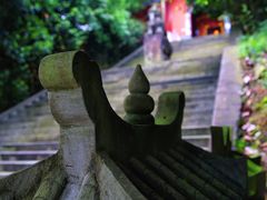 -铁山坪森林公园