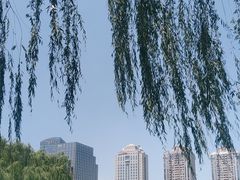 -团结湖公园