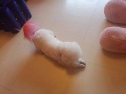 -Pink You美甲美睫纹绣定制中心