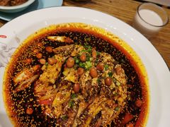 凉拌鸡-鸡毛店·川菜(双楠店)