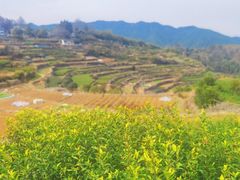 -乌石村