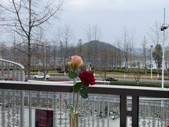 -宝荣鱼馆·临湖之宴(千岛湖店)
