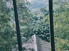 -莫干山风景区