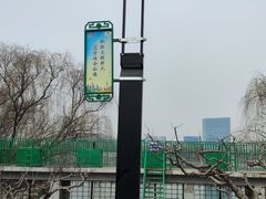 -大兴滨河森林公园
