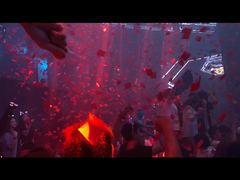 -猫头婴小酒馆FUN OWL(1912店)