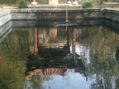-竹泉村旅游度假区