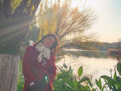 -昆山城市生态森林公园