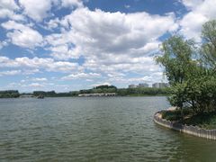 -大兴滨河森林公园