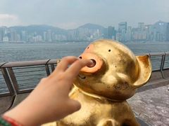 -星光大道