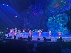 -广州长隆国际大马戏