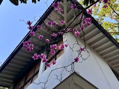 -中国茶叶博物馆(双峰馆区)