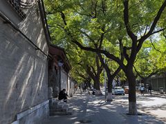 -北门涮肉·铜锅涮肉(南锣鼓巷店)