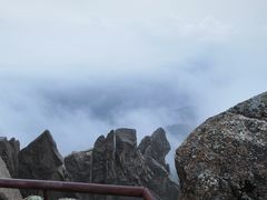 -芦芽山旅游度假区