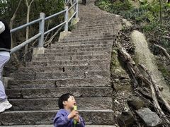 -紫金山天文台